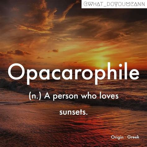 Is Opacarophile a word?