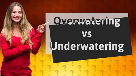 Is Overwatering worse than Underwatering?