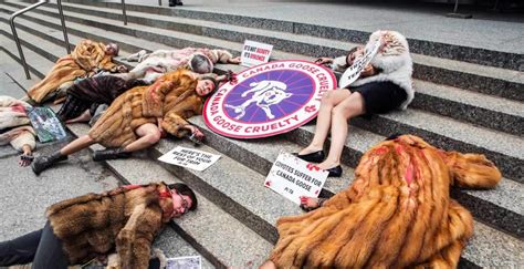 Is PETA against fake fur?