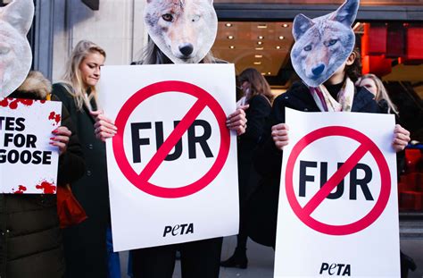 Is PETA anti furry?