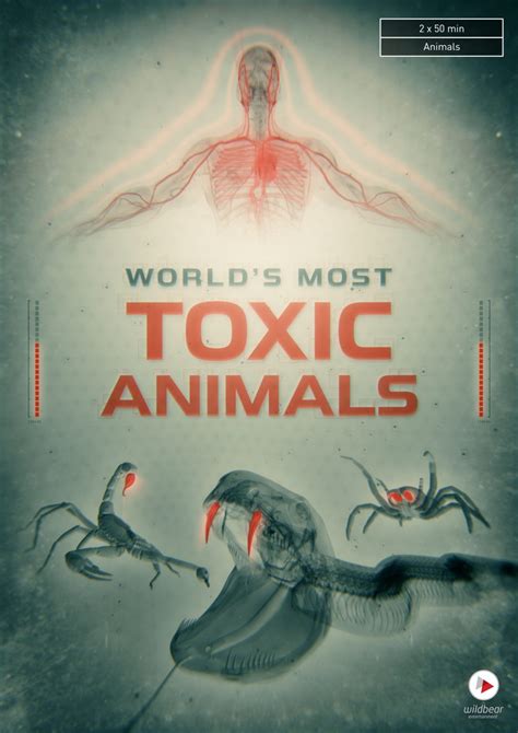 Is PVA toxic to animals?