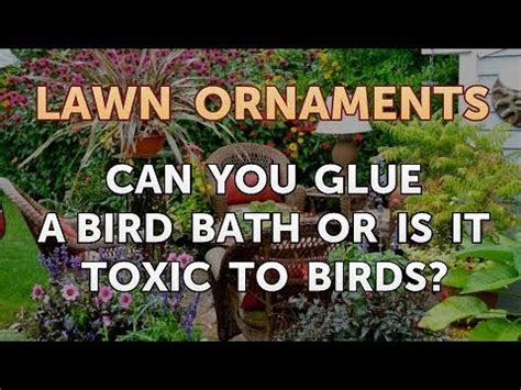 Is PVC glue toxic to birds?