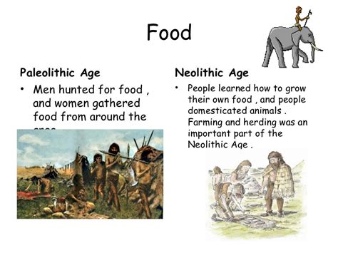 Is Paleolithic and Neolithic the same?