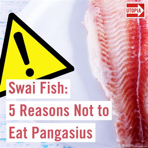 Is Pangasius fish unhealthy?