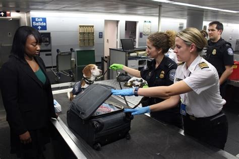Is Passport Control before baggage?