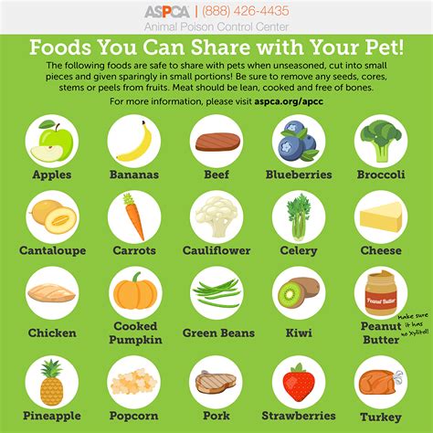 Is Pet 1 food safe?