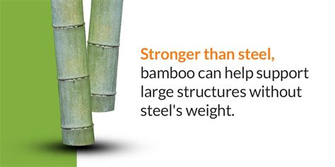 Is Pine stronger than bamboo?