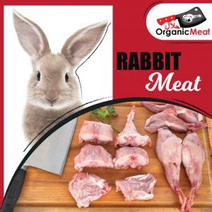 Is Rabbit meat is halal?