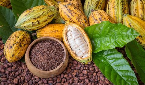 Is Raw cacao really raw?