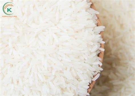 Is Rice good for a bulk?