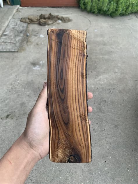 Is Russian olive wood strong?