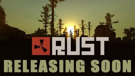 Is Rust a future?