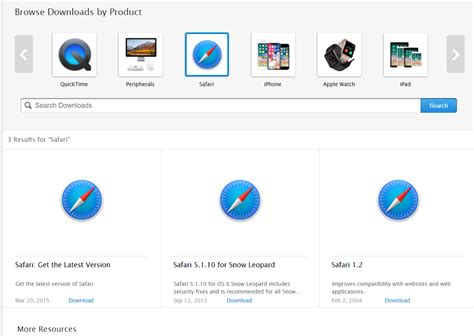 Is Safari the only browser for iPad?