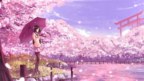 Is Sakura pink or purple?