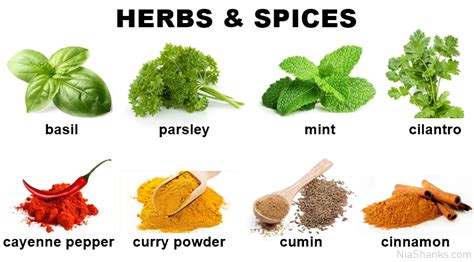 Is Salt a spice or a Herb?