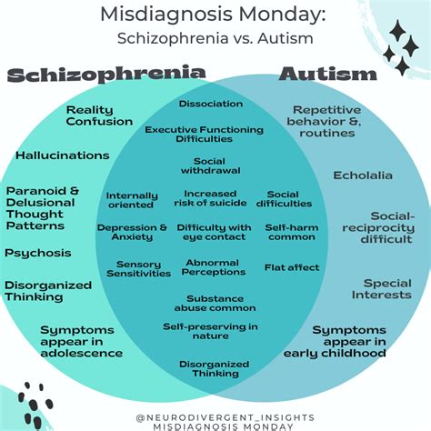 Is Schizo Autism?