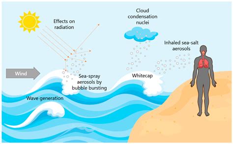 Is Sea Salt an aerosol?