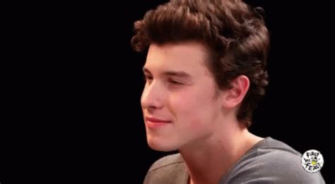 Is Shawn Mendes a tenor?