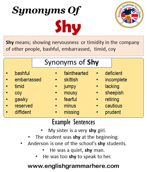 Is Shy an adjective?