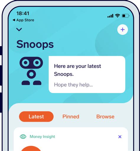 Is Snooper app good?