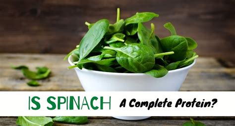 Is Spinach a complete protein?