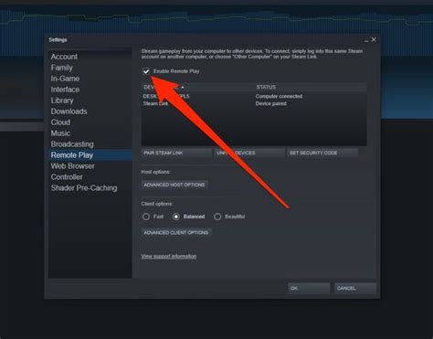 Is Steam Link LAN only?