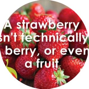 Is Strawberry technically a berry?