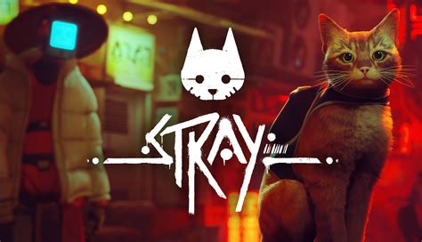 Is Stray a finished game?