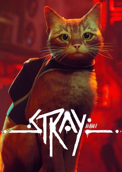 Is Stray a long game?