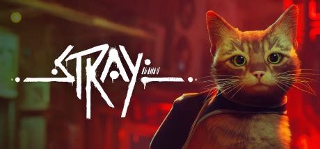 Is Stray a multiplayer?