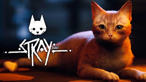 Is Stray a real game?