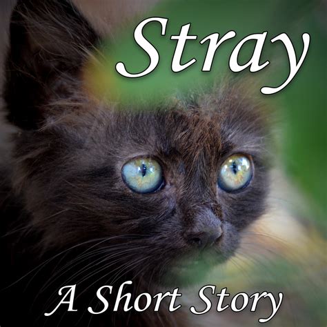 Is Stray a sad story?