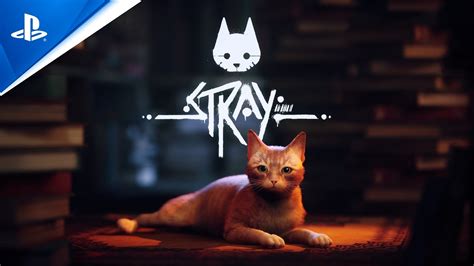 Is Stray multiplayer on PS4?