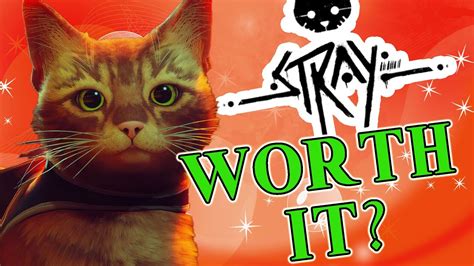 Is Stray worth it on PC?