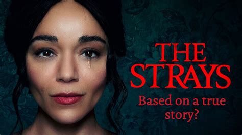 Is Strays based on a true story?