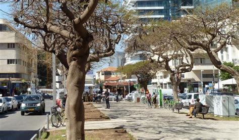 Is Tel Aviv a walkable city?