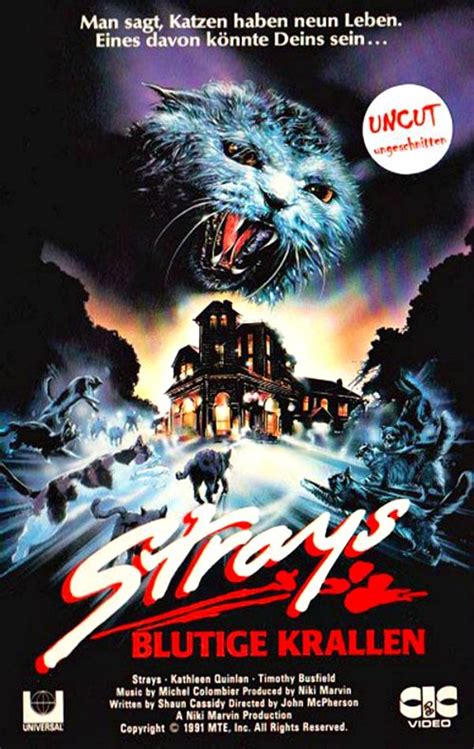 Is The Strays a scary film?