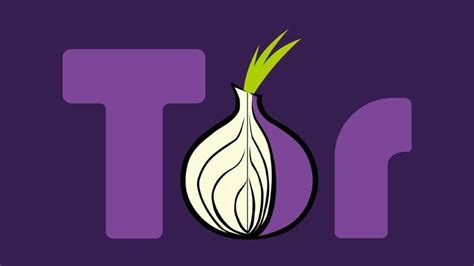 Is Tor Browser Traceable?