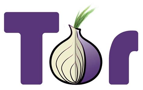 Is Tor good for scraping?