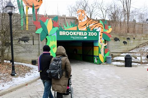 Is Toronto Zoo good in winter?
