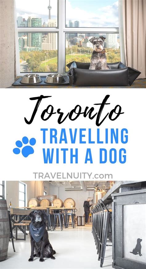 Is Toronto a pet friendly city?