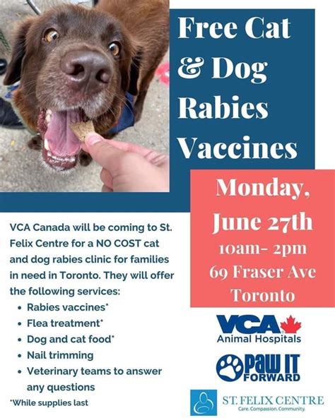 Is Toronto rabies free?