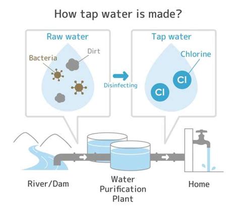 Is Toronto tap water chlorinated?