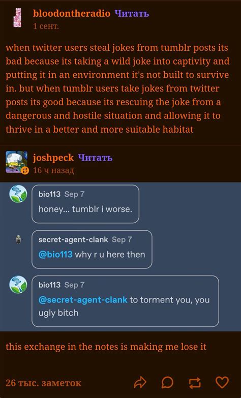 Is Tumblr better than Twitter?