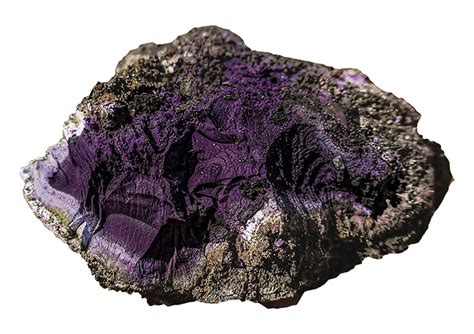 Is Tyrian purple renewable or not?