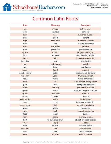 Is Uni a Latin root?