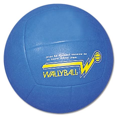 Is Wallyball same as volleyball?