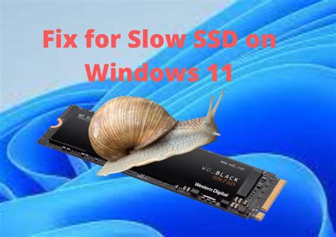 Is Windows 11 slowing down my SSD?