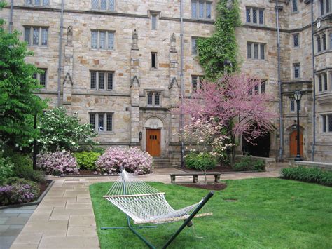 Is Yale an Ivy?