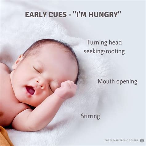 Is Yawning a hunger cue?